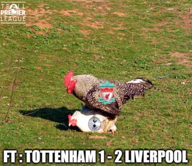 3-0！埃格努出任队长首秀 25分+MVP 领衔米兰女排豪取意甲开门红